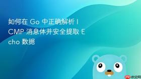 如何在 Go 中正确解析 ICMP 消息体并安全提取 Echo 数据