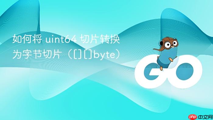 如何将 uint64 切片转换为字节切片（[][]byte）
