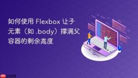 如何使用 Flexbox 让子元素（如 .body）撑满父容器的剩余高度
