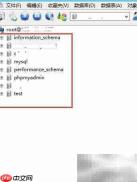 MySQL数据导出简明指南