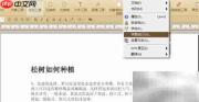 PDF字数统计方法