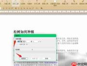 PDF字数统计方法