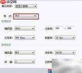 MKV转FLV:快速格式转换