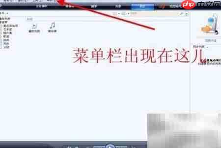 Win Media Player经典菜单开启方法
