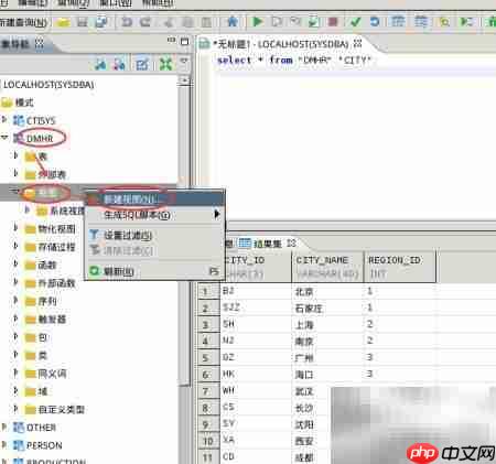 Windows下DM创建视图图解