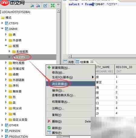 Windows下DM创建视图图解