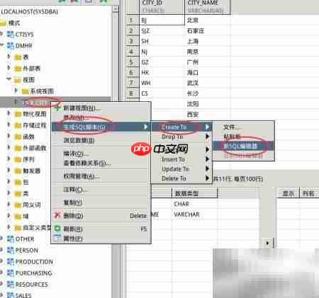 Windows下DM创建视图图解