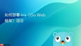 如何部署 Iris（Go Web 框架）项目