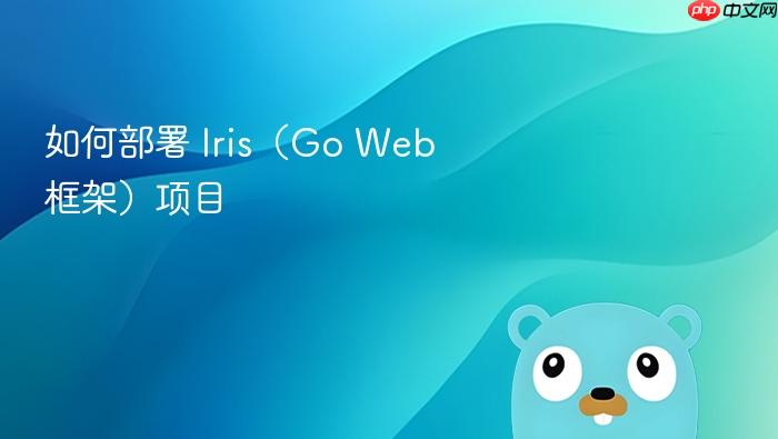 如何部署 Iris(Go Web 框架)项目
