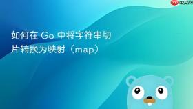 如何在 Go 中将字符串切片转换为映射（map）