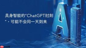 具身智能的“ChatGPT时刻”，可能不会同一天到来