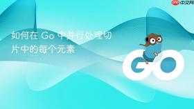 如何在 Go 中并行处理切片中的每个元素
