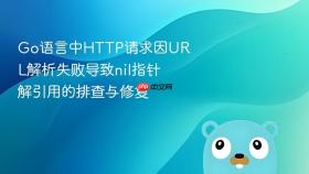 Go语言中HTTP请求因URL解析失败导致nil指针解引用的排查与修复