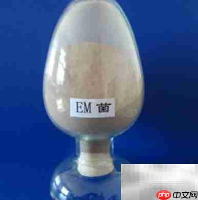 EM菌是什么?一文读懂