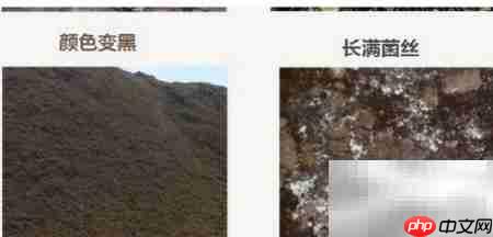 EM菌是什么?一文读懂