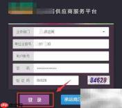 进销存销售数据查看指南