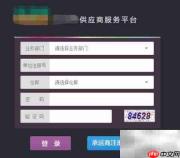 进销存销售数据查看指南