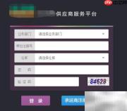 进销存销售数据查看指南