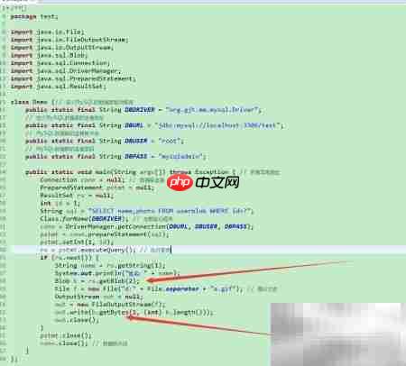 Java中Blob对象处理技巧
