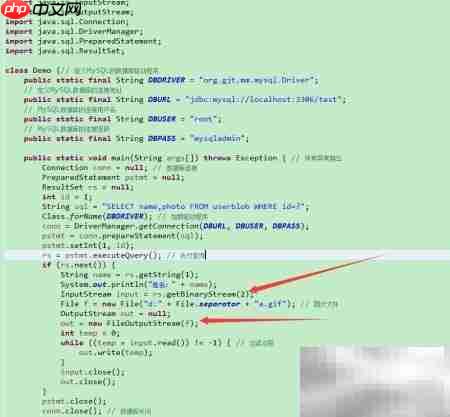 Java中Blob对象处理技巧