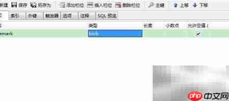 Java中Blob对象处理技巧