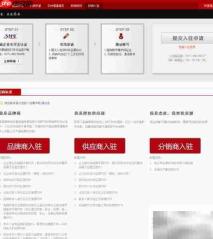 网络分销入门指南