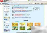 船名航次快速查船期技巧