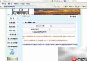 船名航次快速查船期技巧