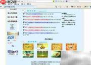 船名航次快速查船期技巧