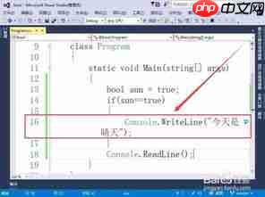 Visual Studio中for循环省略表达式如何使用