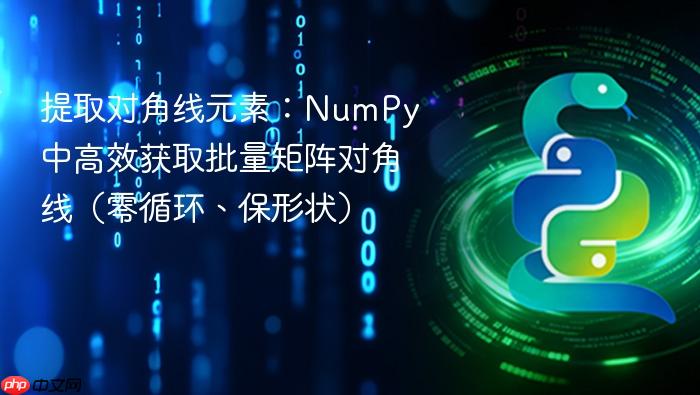 提取对角线元素:NumPy 中高效获取批量矩阵对角线(零循环、保形状)