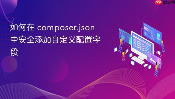 如何在 composer.json 中安全添加自定义配置字段