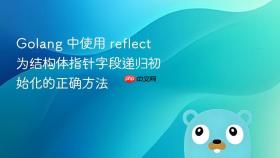Golang 中使用 reflect 为结构体指针字段递归初始化的正确方法