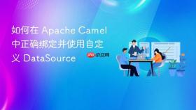 如何在 Apache Camel 中正确绑定并使用自定义 DataSource