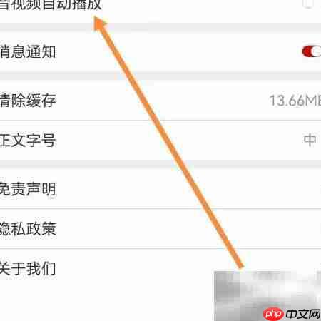 掌上岳池音视频自动播放查找方法