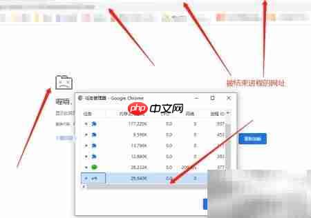谷歌浏览器任务管理器结束进程