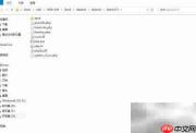 Zend Guard 6.0解密PHP文件