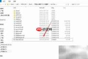 Zend Guard 6.0解密PHP文件