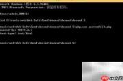 Zend Guard 6.0解密PHP文件