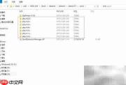 Zend Guard 6.0解密PHP文件