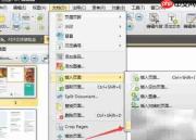 RTF转PDF及PDF添加RTF方法