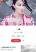 网易云音乐如何加入乐谜团