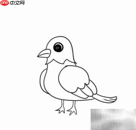 鸽子简笔画:轻松学画小鸽子