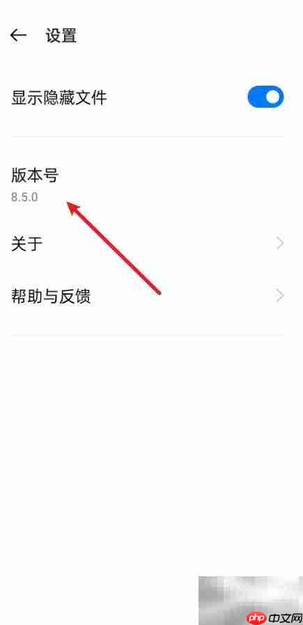 文件管理查看版本号方法