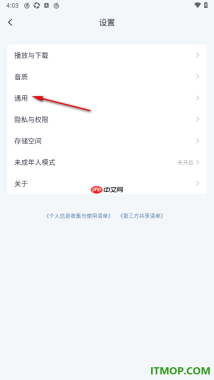 网易云音乐手机版设置启用桌面歌词的方法