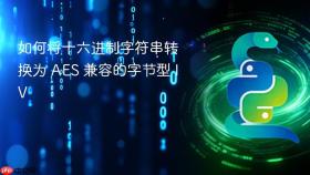 如何将十六进制字符串转换为 AES 兼容的字节型 IV