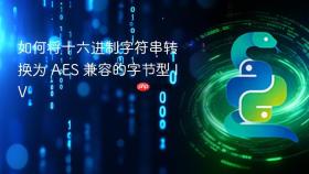 如何将十六进制字符串转换为 AES 兼容的字节型 IV
