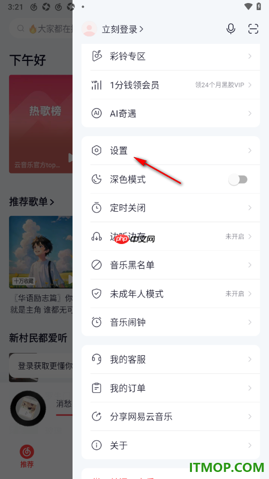 网易云音乐手机版设置允许使用状态栏歌词的方法