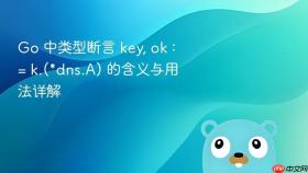 Go 中类型断言 key, ok := k.(*dns.A) 的含义与用法详解
