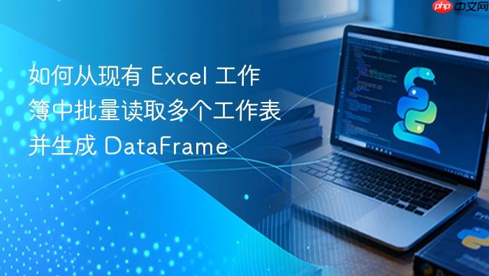 如何从现有 Excel 工作簿中批量读取多个工作表并生成 DataFrame